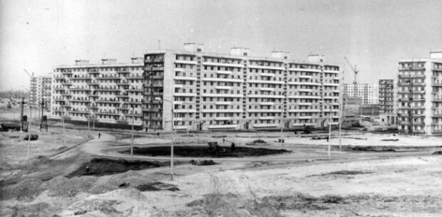 березняки