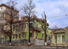 Будинок з ірисами