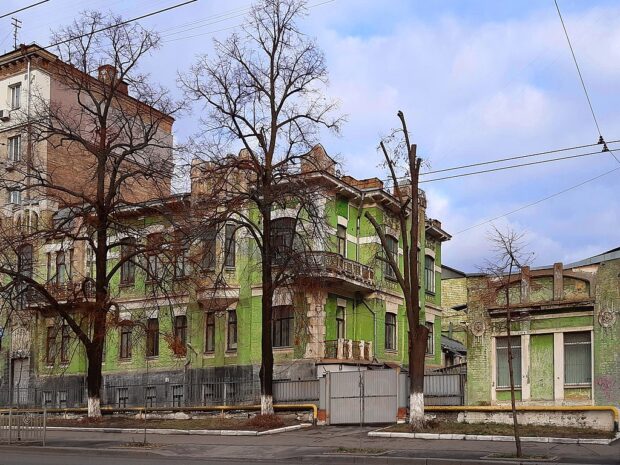 Будинок з ірисами