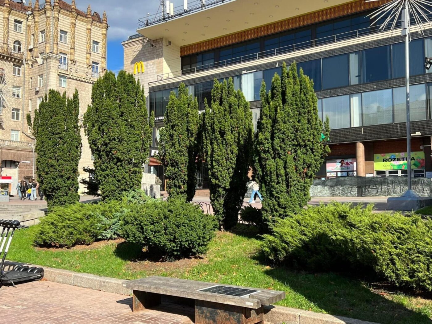 Київські каштани можуть замінити на інші дерева