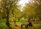 осінь в Києві