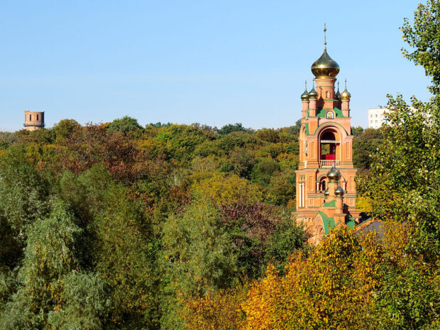 Голосіївський ліс, на фото можна побачити і водонапірну вежу