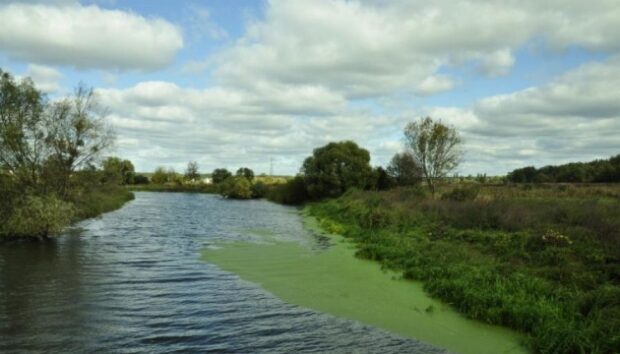 Річка Ірпінь 