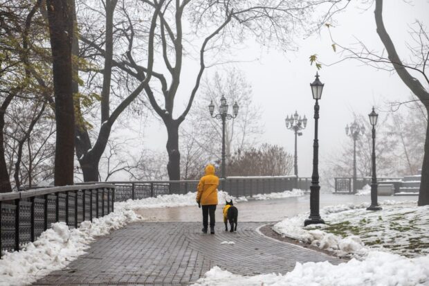 У столиці завтра вдень очікуються пориви вітру 15-20 м/с – Укргідрометцентр