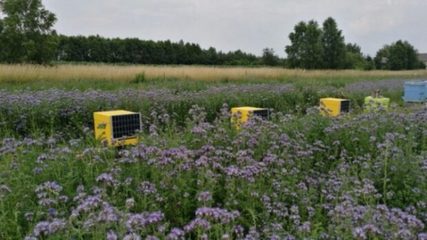 Наразі IT смарт-вулики українсько-польського виробництва AmoHive встановлюють бджолярі у всьому світі. Але саме постійно діюча пасіка, де проводитимуться навчання для дітей та школярів за досить незвичним та новим напрямком – «Інформатика та бджільництво», з’явиться вперше в Україні.