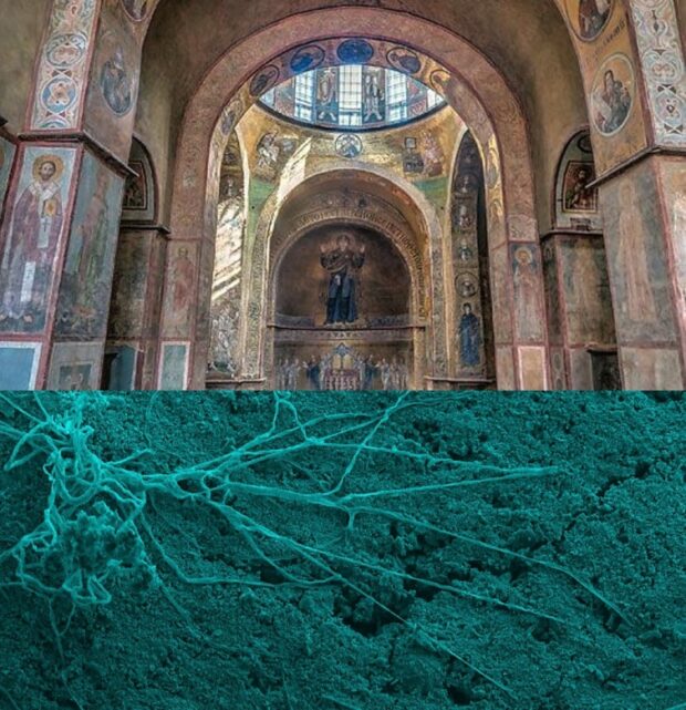 Вчені з'ясували походження плям на фресках Софії Київської