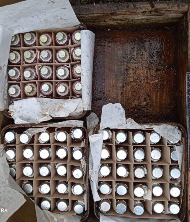 На Київщині знайшли 75 російських мінометних мін з підривачами