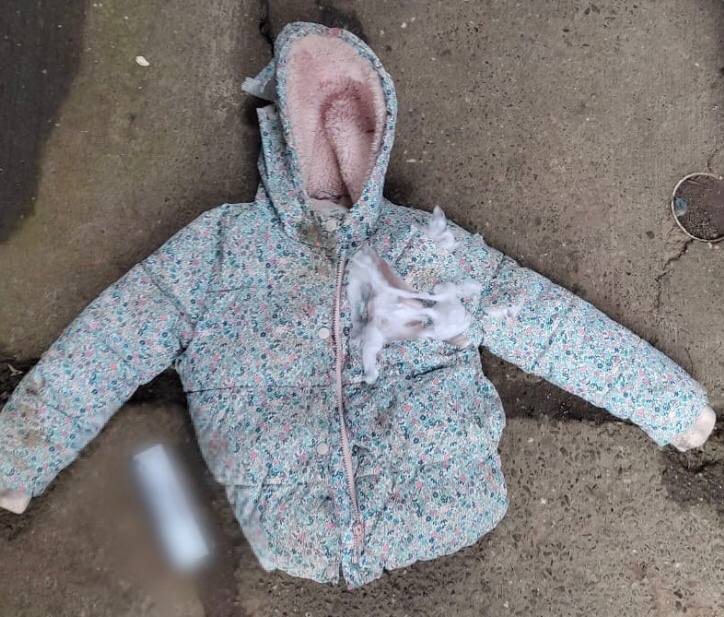 На Київщині собаки напали на матір і дитину