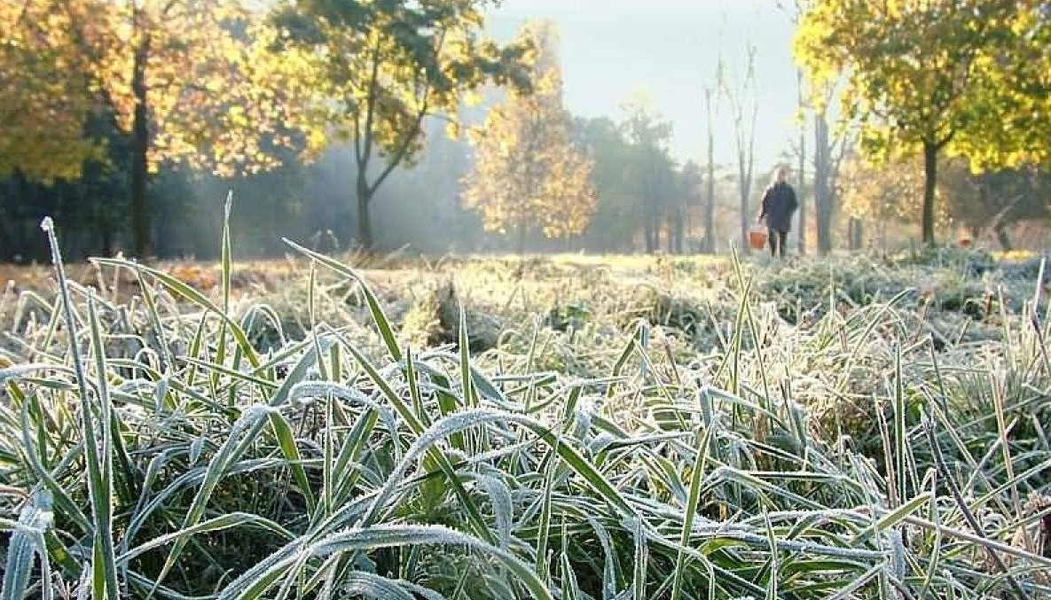 Уночі 29-30 квітня в Києві очікуються заморозки у повітрі 0-5°, 1-2 травня – заморозки на поверхні ґрунту 0-3°