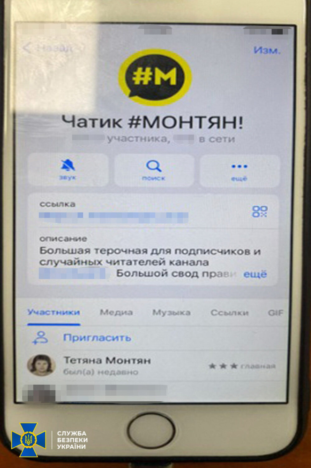 У Києві викрили соратника колаборантки Монтян, який адміністрував її прокремлівський Телеграм-канал