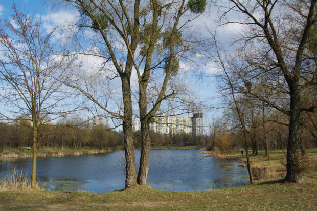 Озеро на Виноградарі