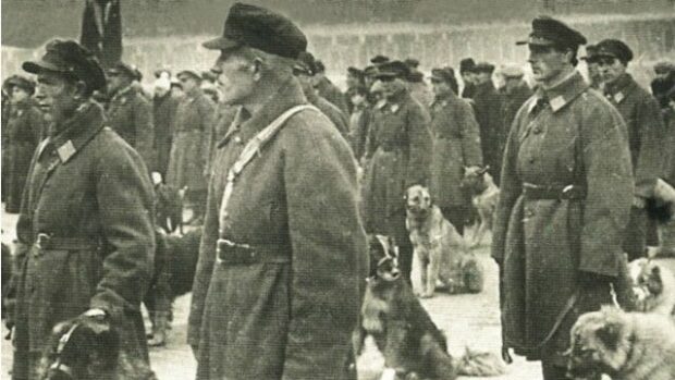 Міліція вдавнину