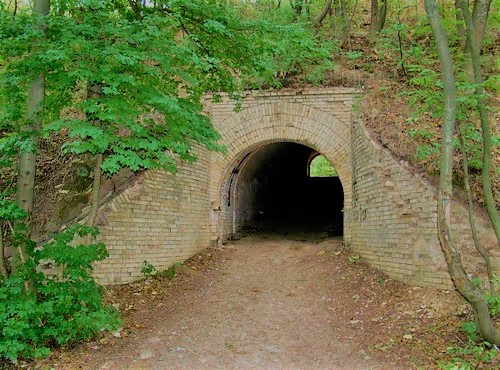 Лисогірський флот