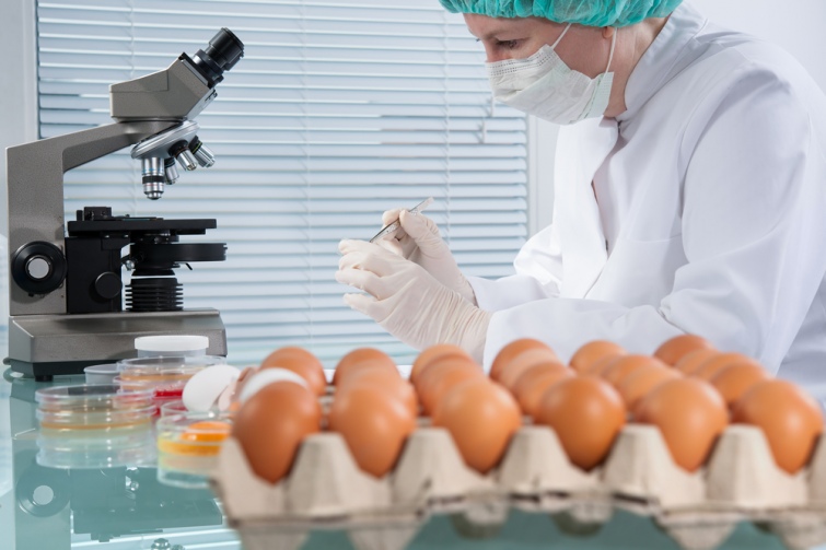 У Києві зафіксували три випадки кишкових інфекцій через сальмонелу