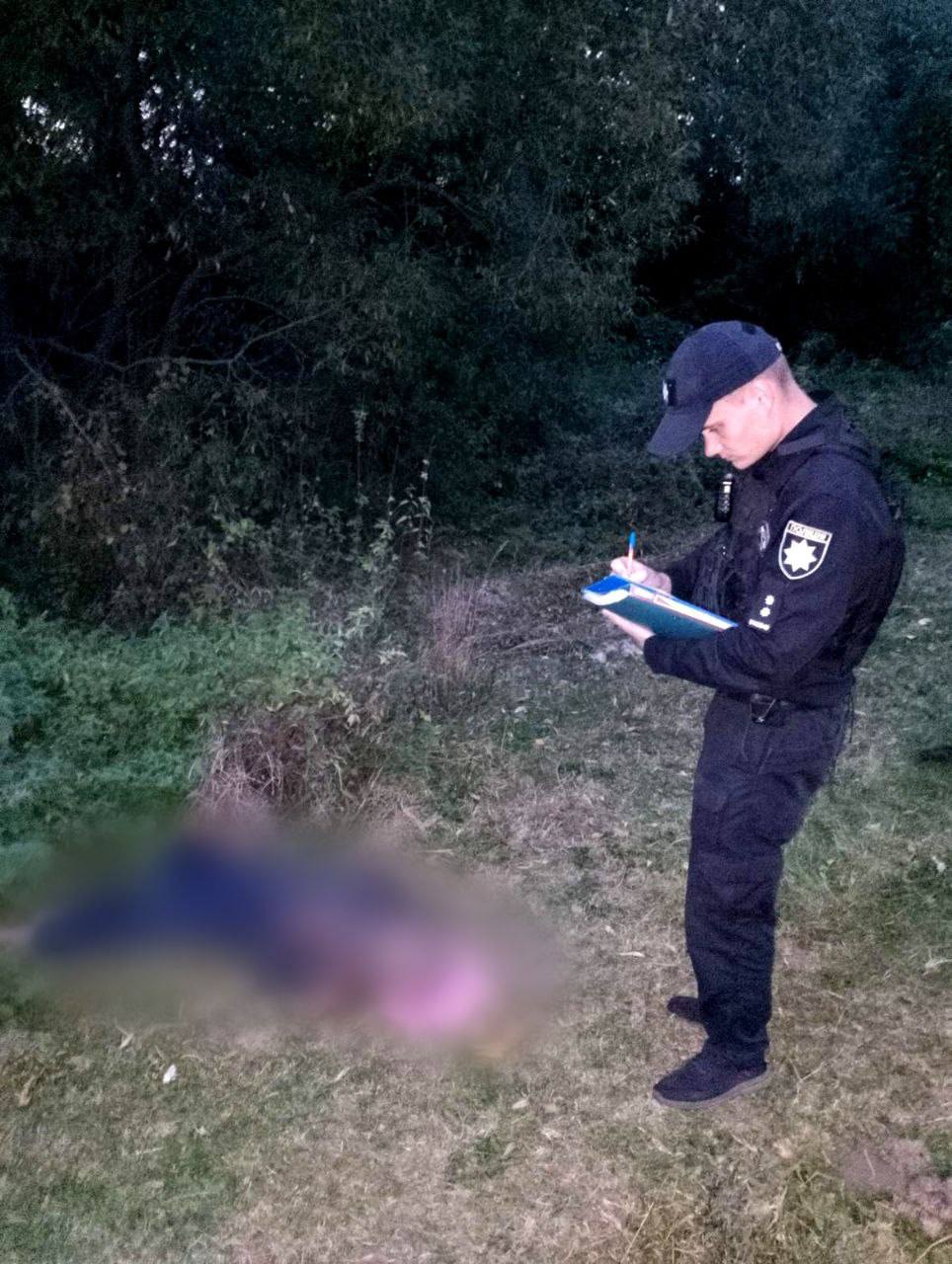 На Київщині шершні до смерті покусали чоловіка, який спиляв їхнє дерево