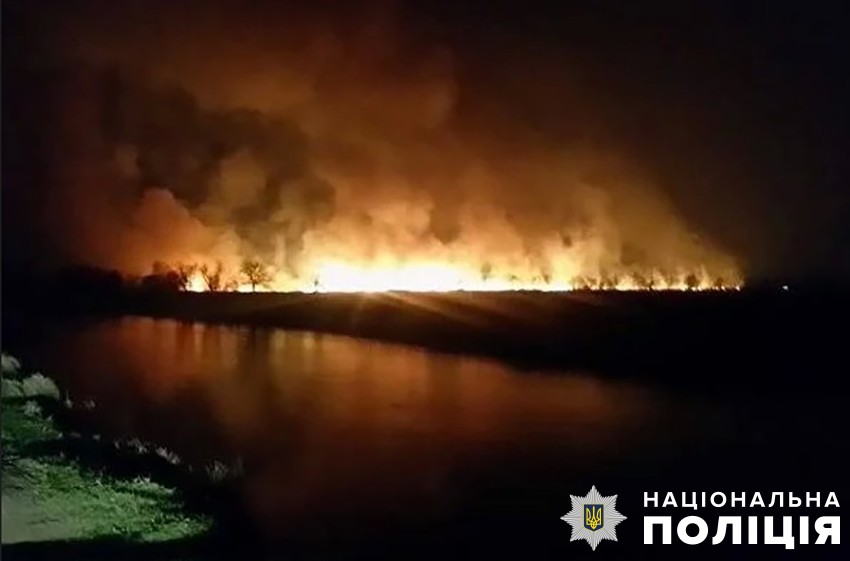 Поліція Києва розпочала кримінальне провадження за фактом пожежі на території ландшафтного заказника «Осокорківські луки»