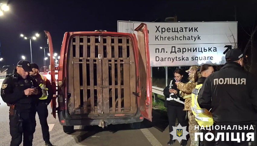 На в'їзді до Києва в автівці виявили оленів: одна тварина загинула