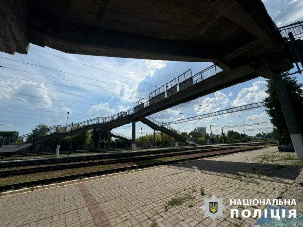 На Київщині жінка скинула собаку із залізничного мосту