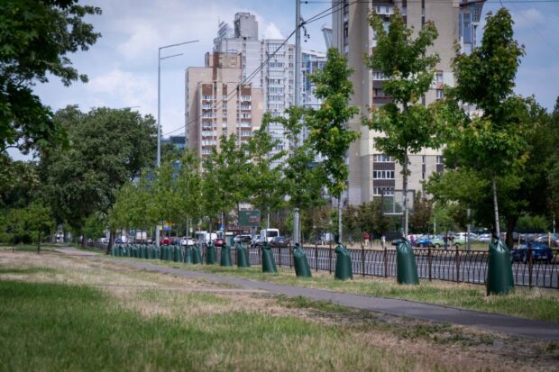 З початку 2024 року в Києві висадили понад 3,5 тисячі дерев, понад 33 тисячі кущів та майже 4 мільйони квітів
