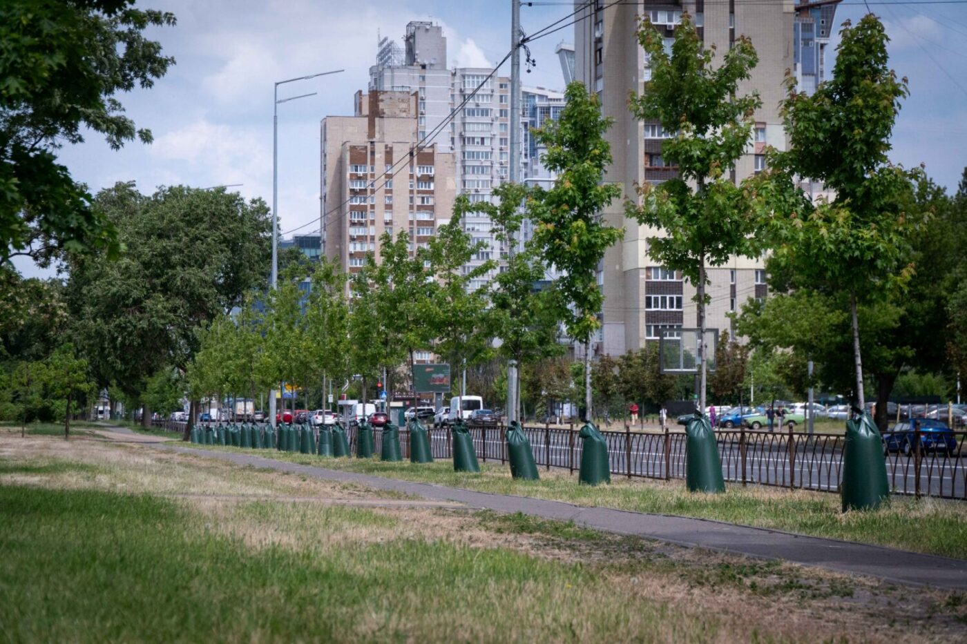 З початку 2024 року в Києві висадили понад 3,5 тисячі дерев, понад 33 тисячі кущів та майже 4 мільйони квітів