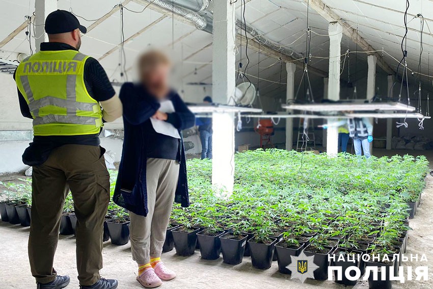 Наркобізнес на території трьох областей з місячним прибутком у 10 мільйонів гривень: поліцейські Києва затримали членів злочинного угруповання
