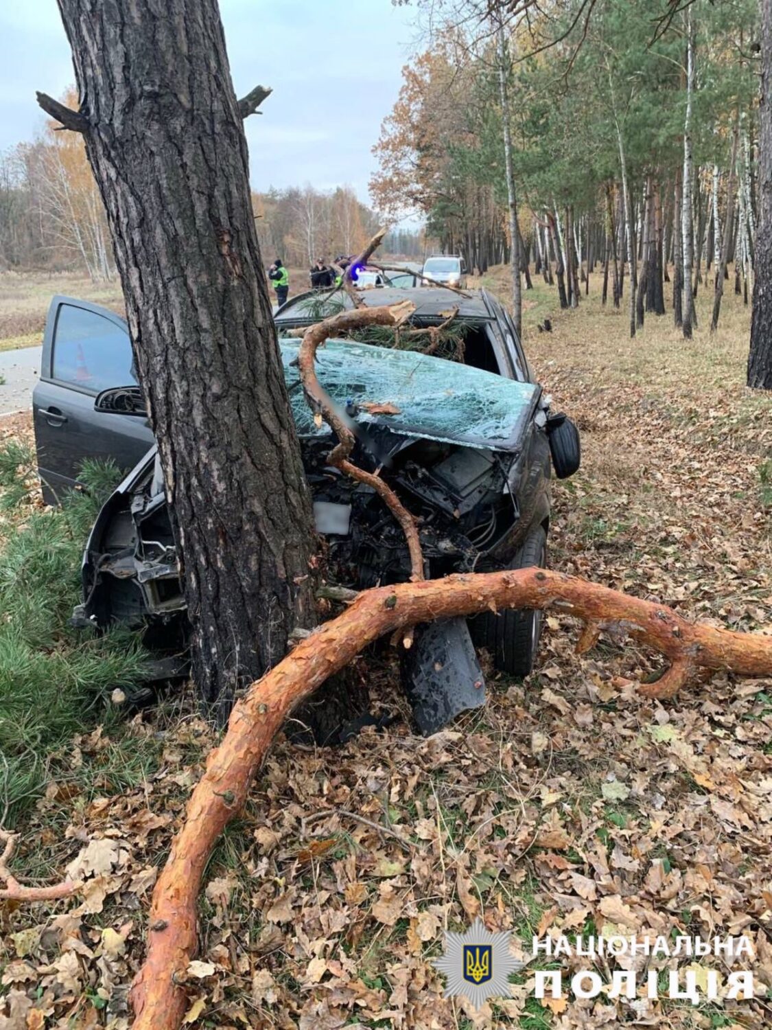 На Київщині внаслідок ДТП загинув чоловік