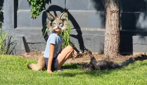 Квадробери