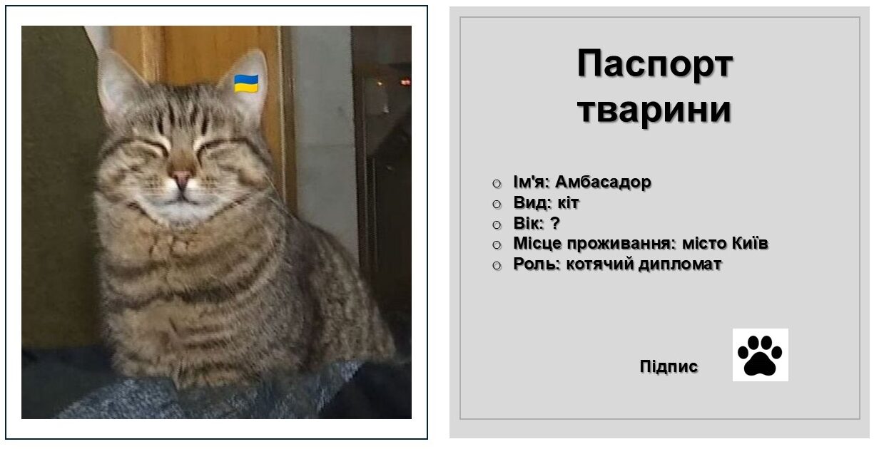 Амбасадор паспорт