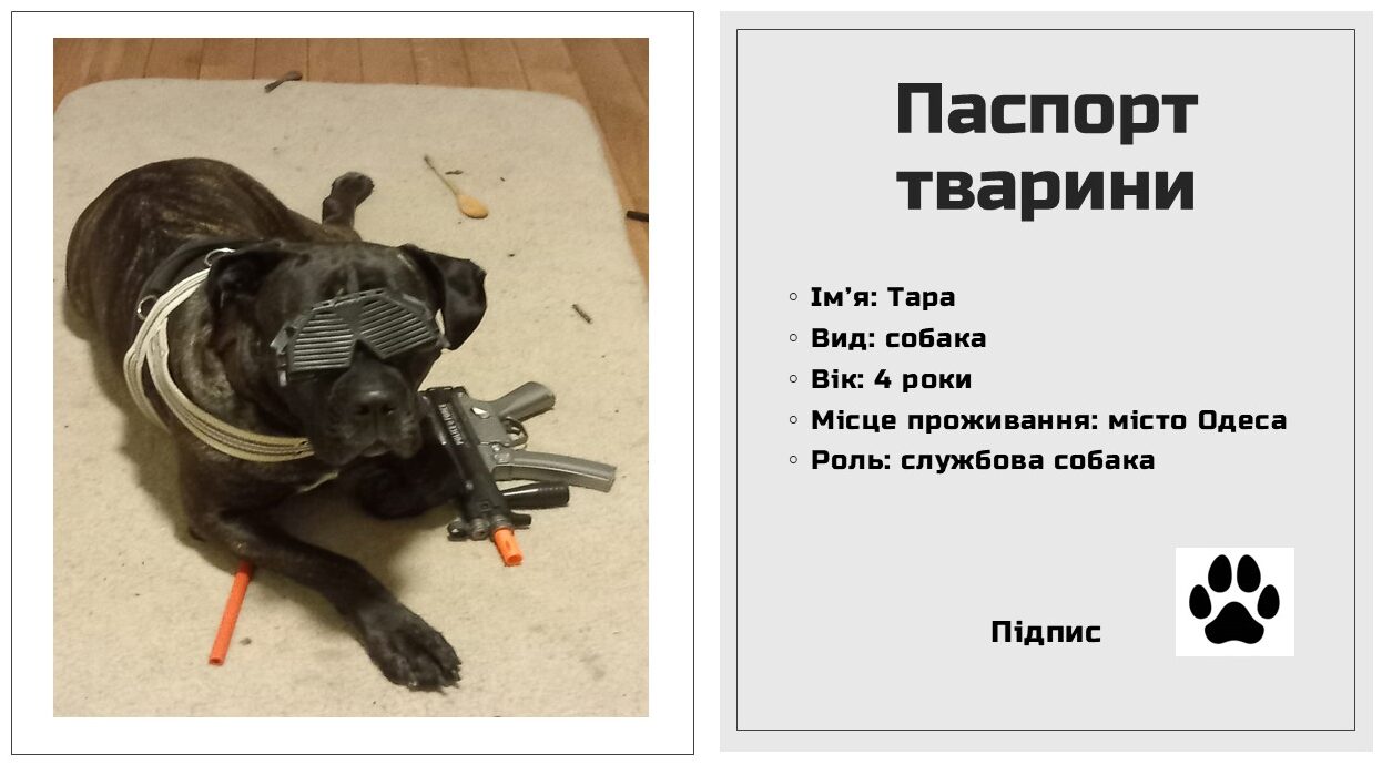 Паспорт Тари