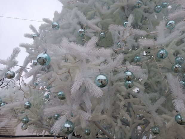 Ялинка 2024-2025