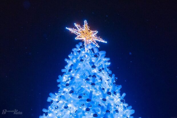 Ялинка 2024-2025