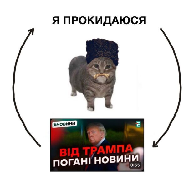 Меми про Трампа