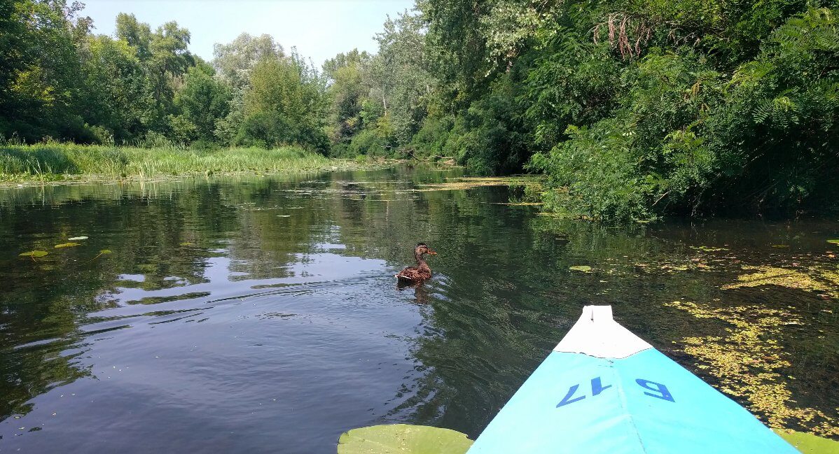 Відпочинок біля води в Києві