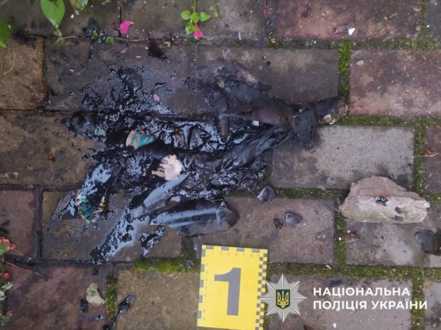 На Київщині затримали трьох юнаків, які намагались підпалити будинок ветерана