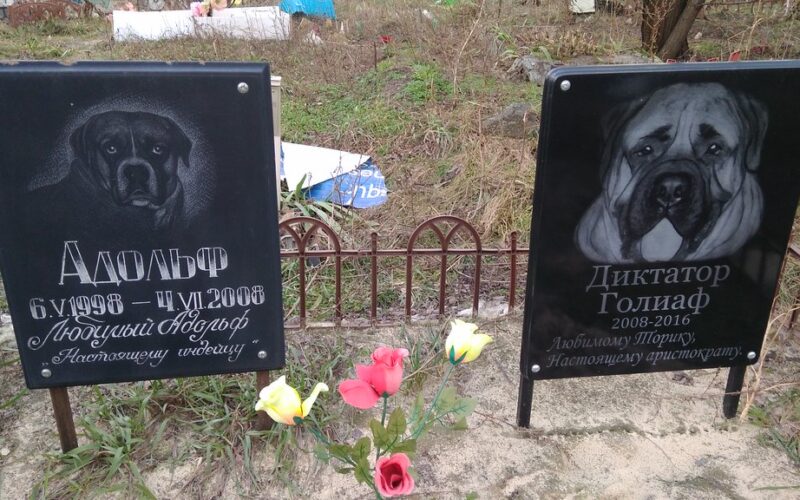 “Ось де собака зарита”: стихійні кладовища домашніх тварин у Києві