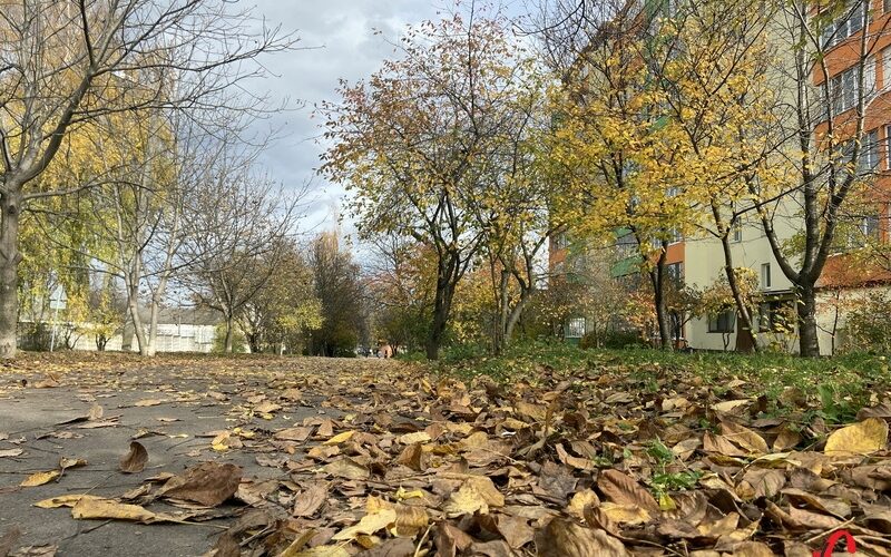 Дощ та до +10°С: детальний прогноз погоди у Києві на 29 жовтня