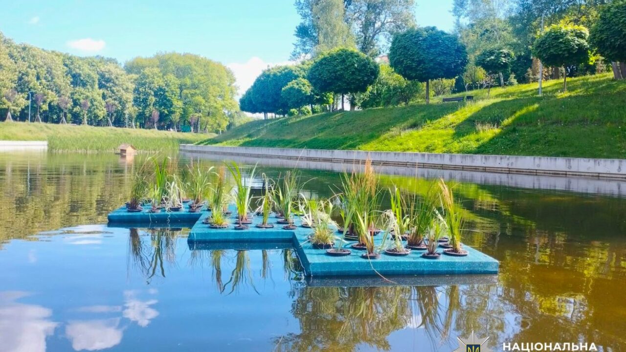 У Києві викрили схему розкрадання 800 тисяч на реконструкції парку (фото)