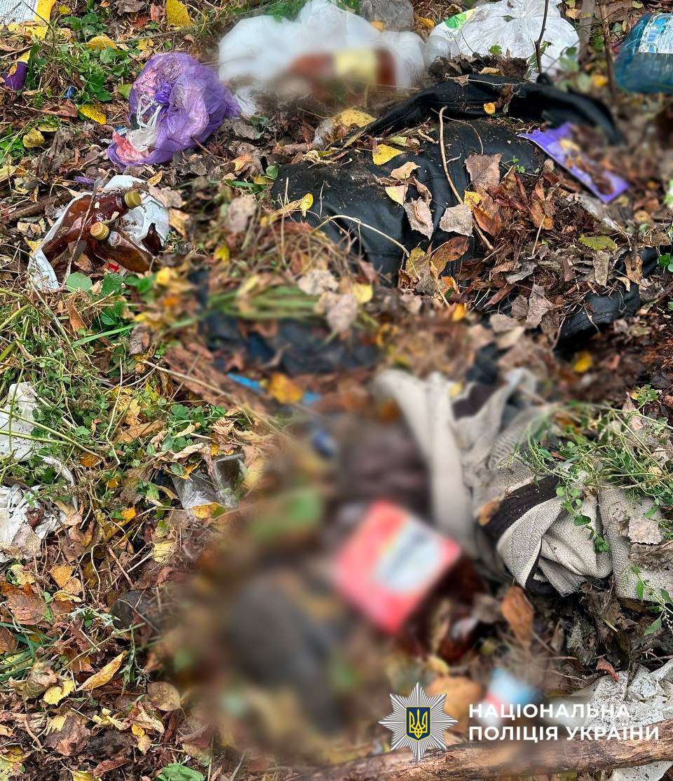 Забив до смерті знайомого в парку — киян затримали за вбивство