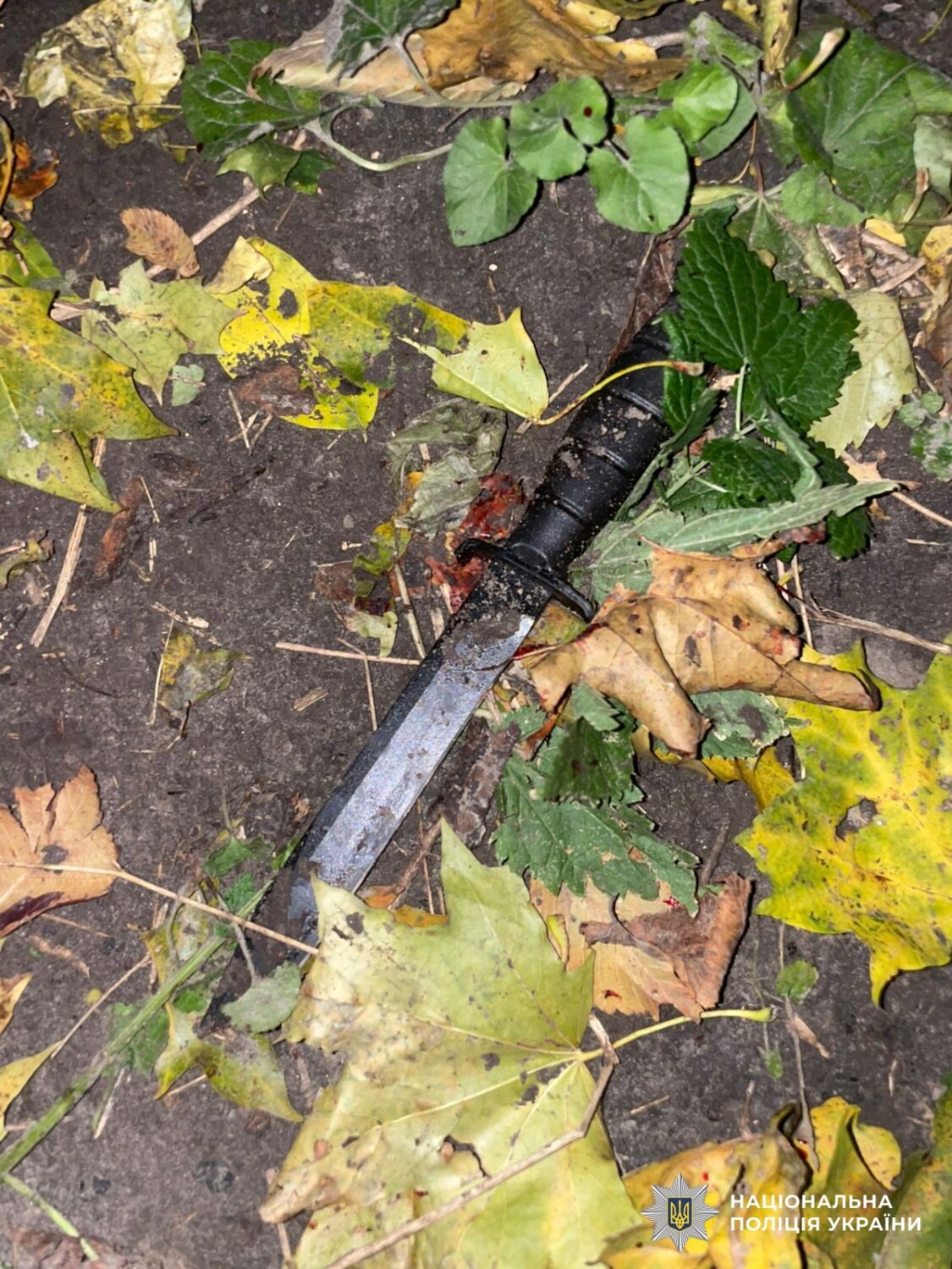 Вбивство у Києві: поліція затримала підозрюваного у ножовому нападі на Замковій горі