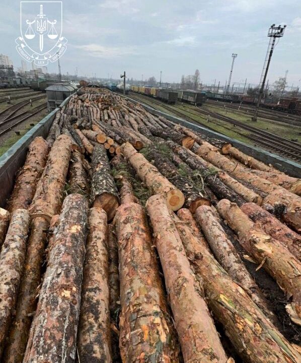 З Київщини до Румунії намагалися незаконно вивезти 17 вагонів цінної деревини