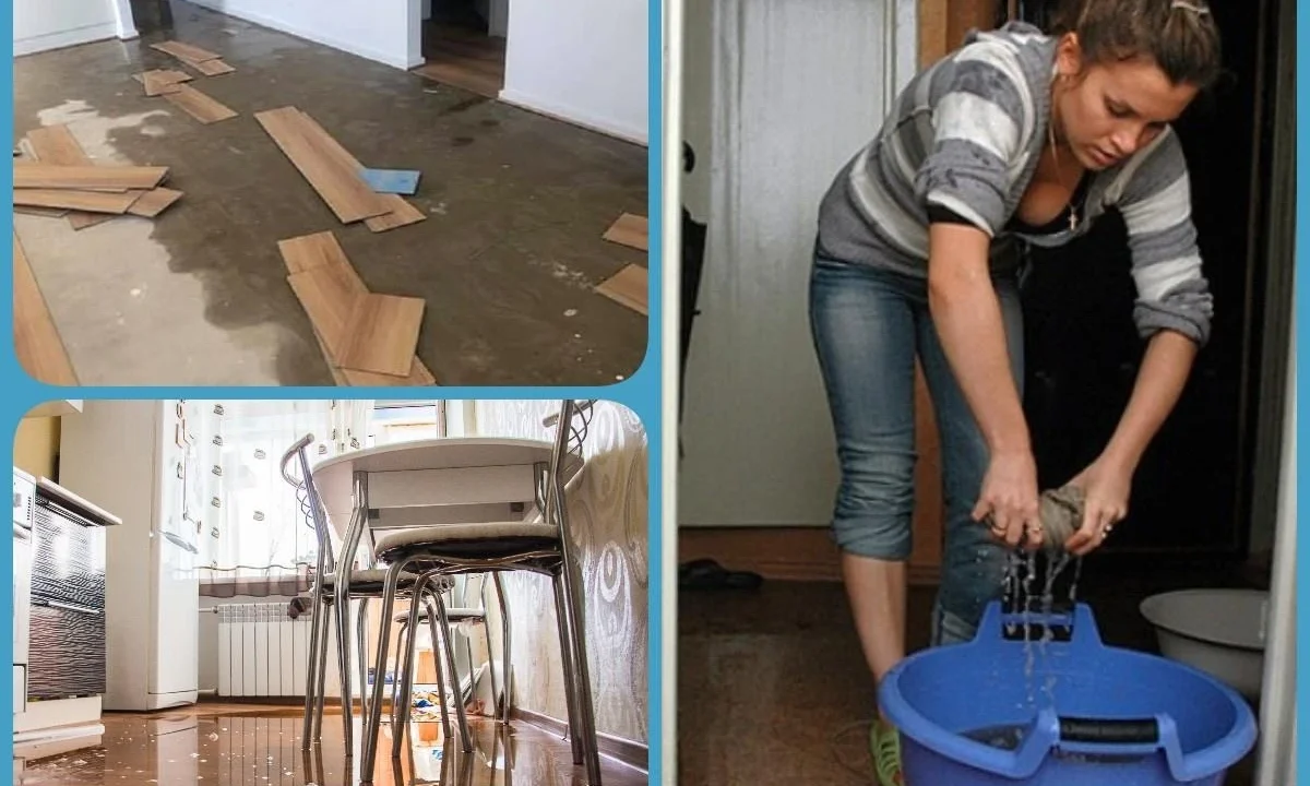 Висушування після потопу у підвалі чи коморі: особливості та помилки
