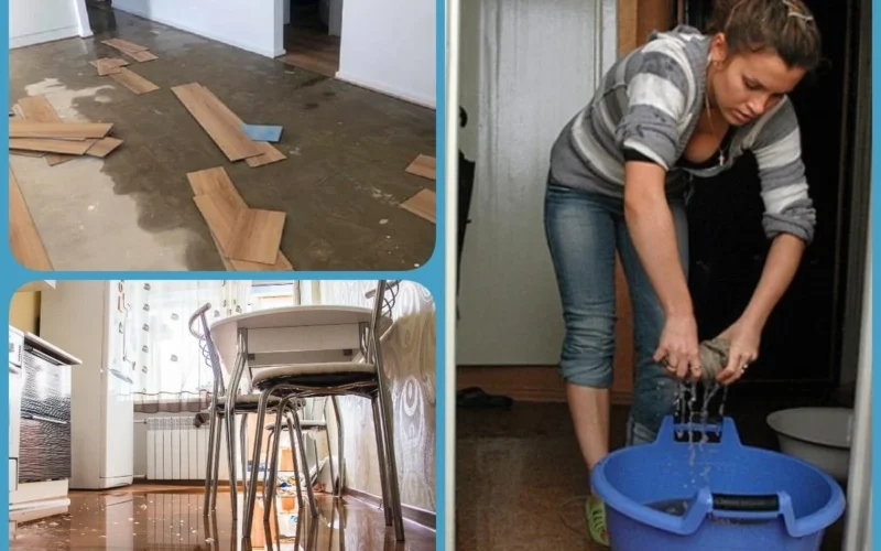 Висушування після потопу у підвалі чи коморі: особливості та помилки