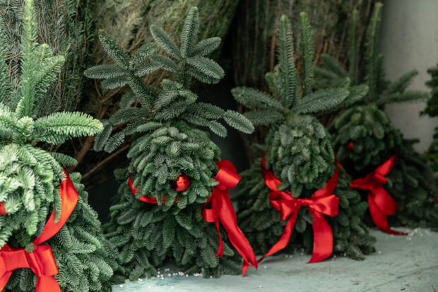 Ялинкові ярмарки у Києві 2025: повний перелік локацій та графік роботи