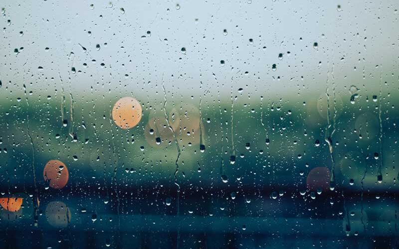 Дощ та до +10°С: прогноз погоди у Києві на 17 листопада