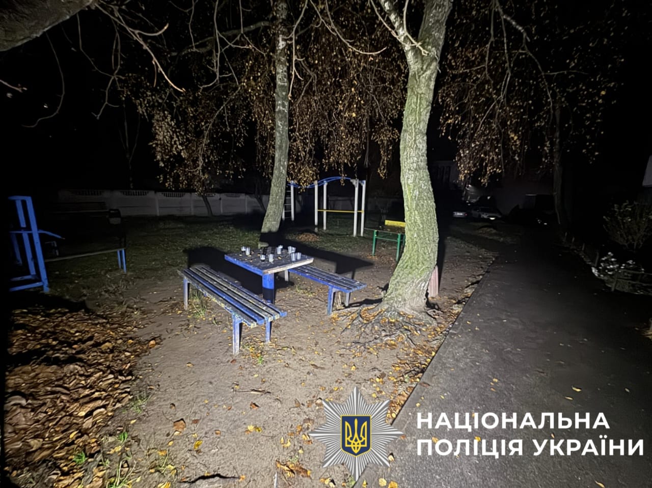 Злочин у Вишгороді: 17-річний підліток поранив двох чоловіків під час конфлікту