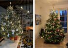 Новорічні свята: натуральна чи штучна ялинка?