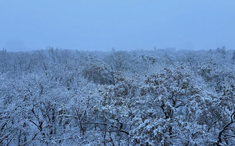 Прогноз погоди у Києві на 6 січня: сніг та поривчастий вітер