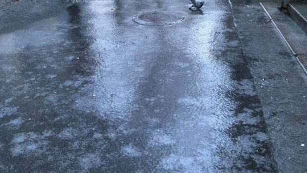 Депутат Київради Кузьменко зламав хребет через ожеледицю в Києві