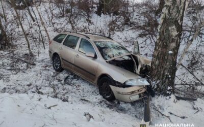 Водій Skoda на Бориспільщині наїхав на дерево в п'яному вигляді