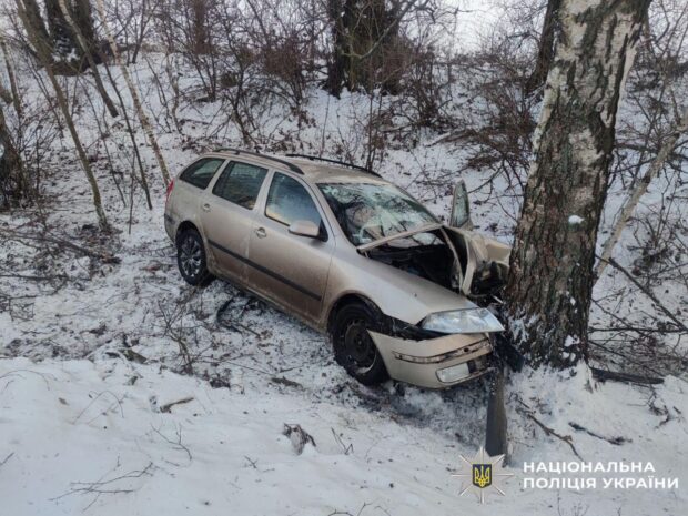 Водій Skoda на Бориспільщині наїхав на дерево в п'яному вигляді